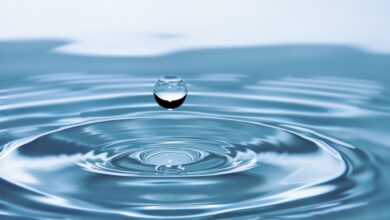 Sposoby na oszczędzanie wody w domu – jak zminimalizować zużycie dzięki odpowiedniej hydraulice